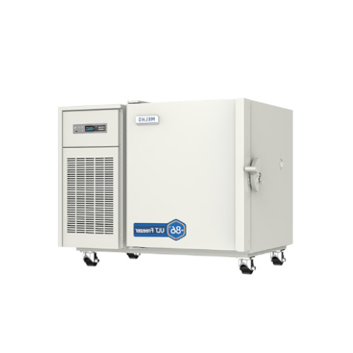 Meling DW-HL100 Pic 2
