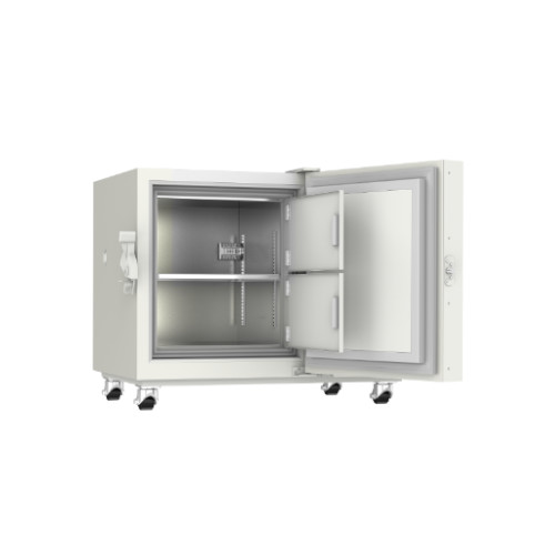 Meling DW-HL100 Pic 3