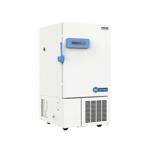 Meling DW-HL218 Pic 2