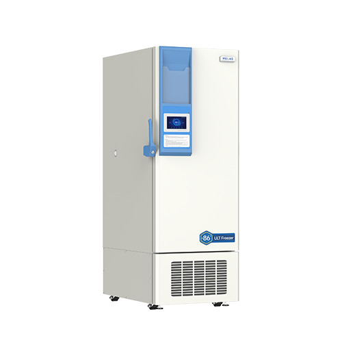 Meling DW-HL398 Pic 2