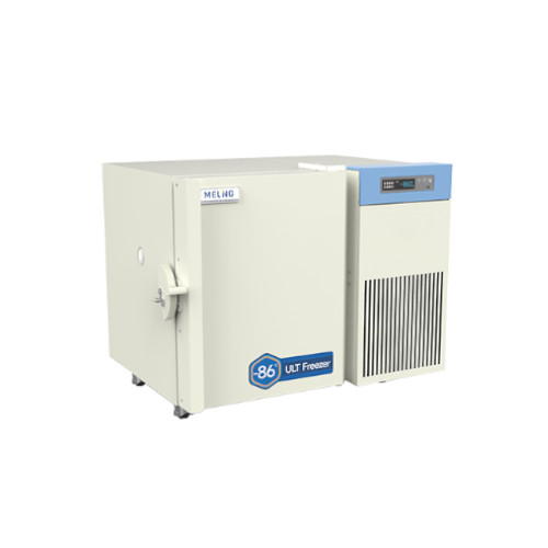 Meling DW-HL50 Pic 2