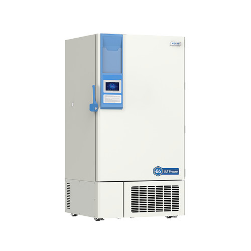Meling DW-HL678 Pic 2
